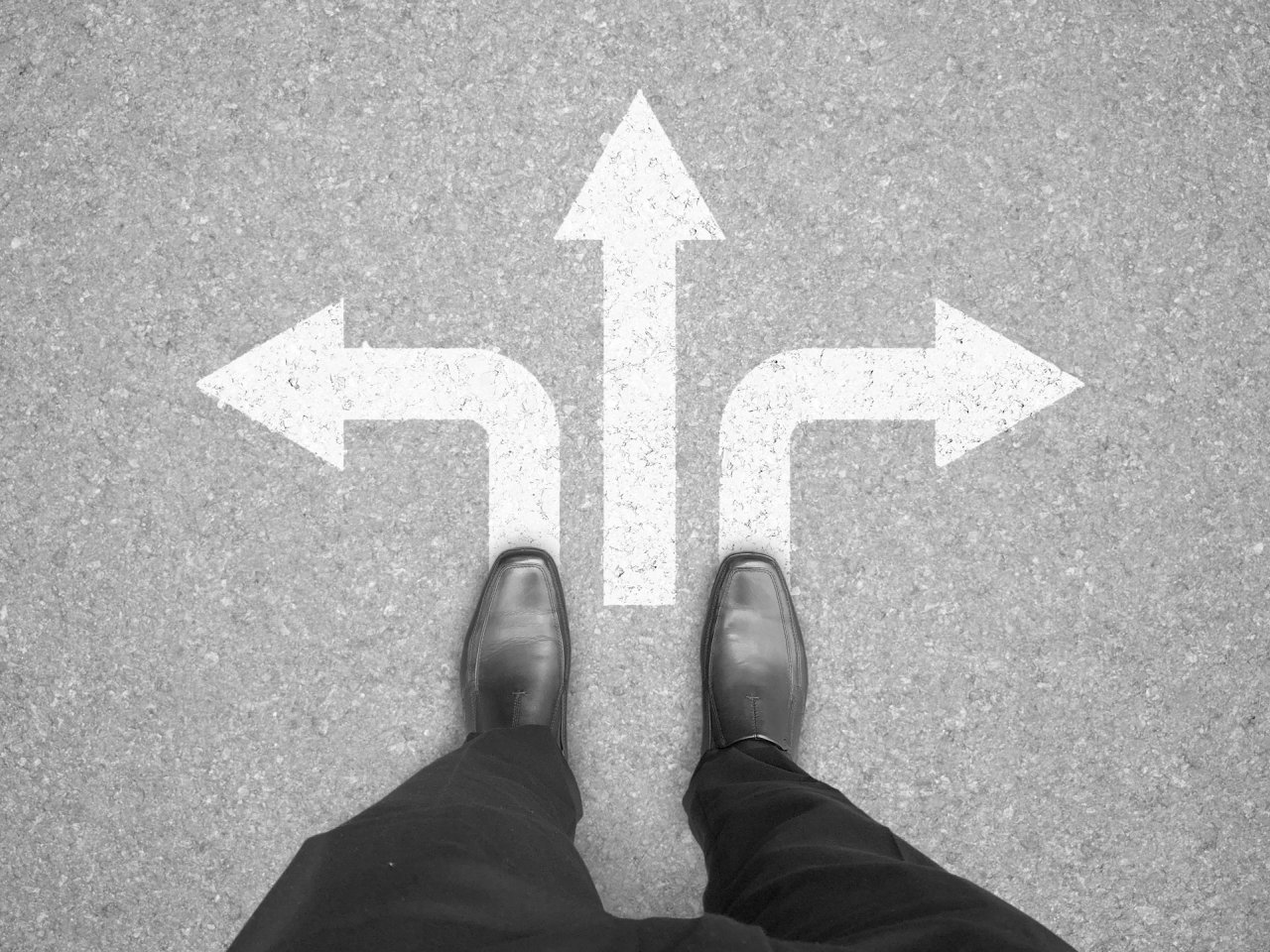 turning data into decisions