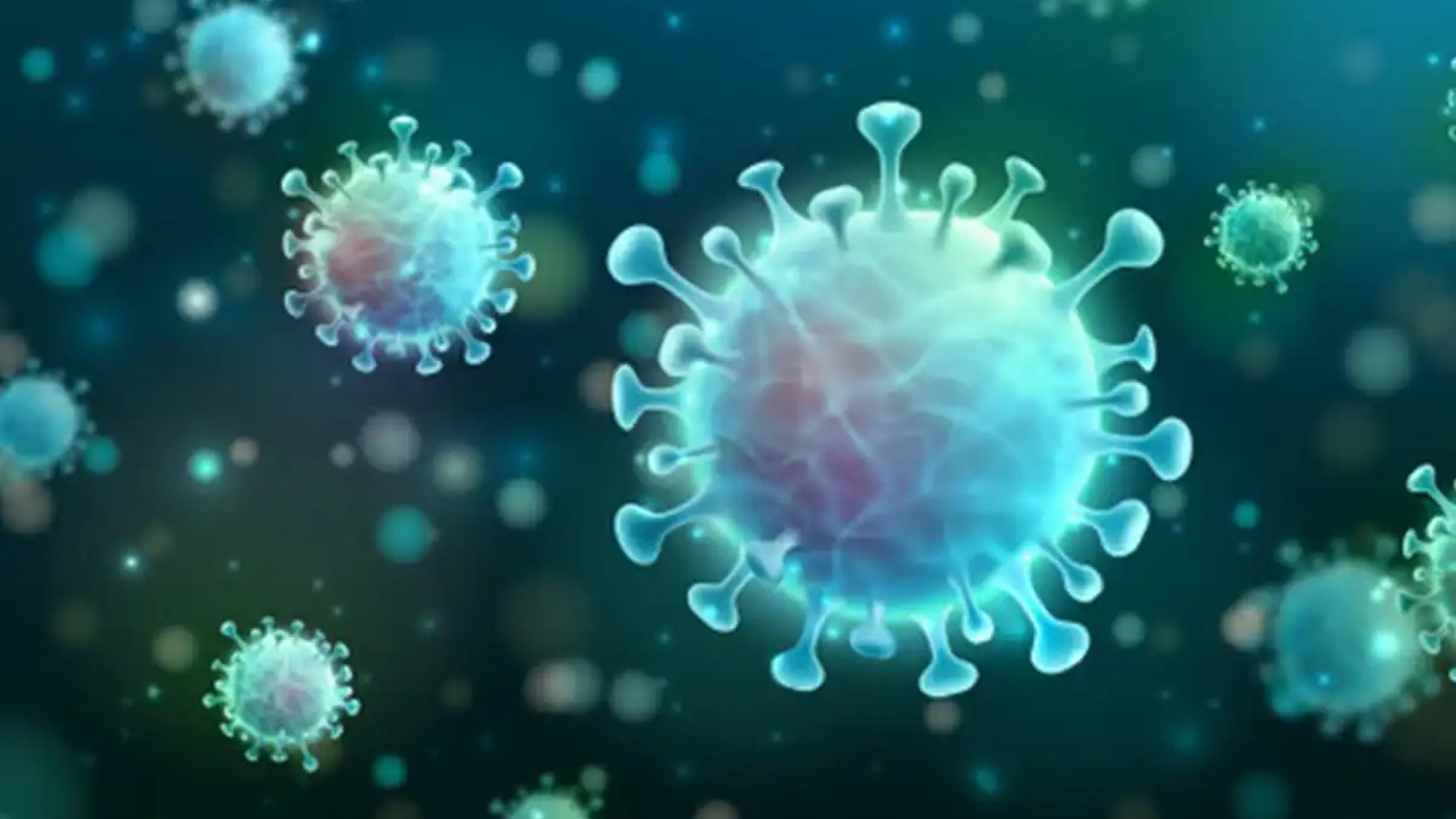 covid-19-measures-at-99x-featured-image covid-19-measures-at-99x-featured-image