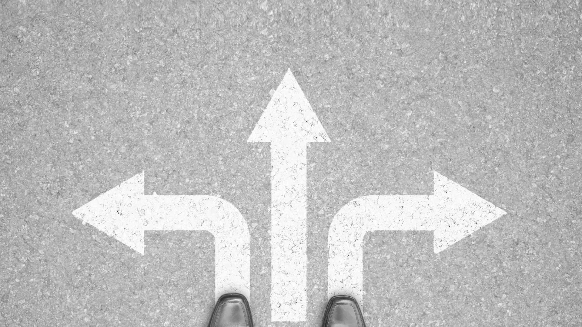 Turning data into decisions