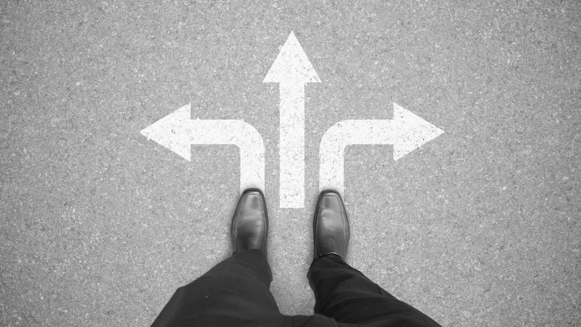 turning data into decisions