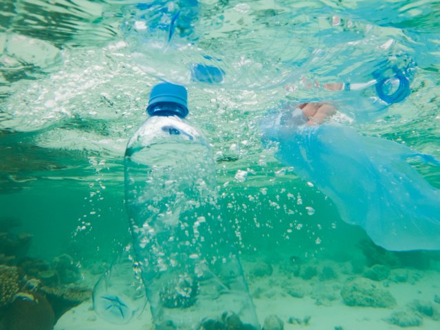 99x Ocean Strainer 99x Ocean Strainer