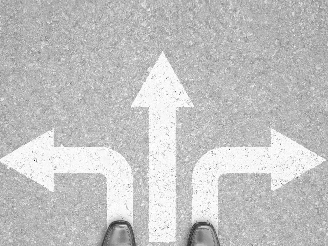 Turning data into decisions