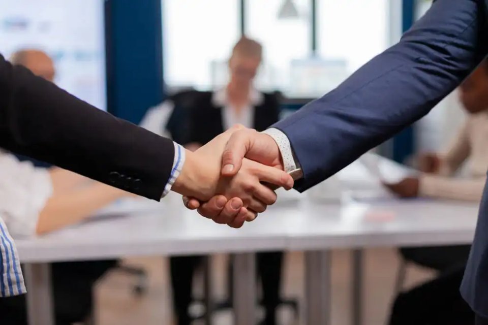 satisfied-businessman-employer-handshake- 99x aquires Seeds satisfied-businessman-employer-handshake- 99x aquires Seeds