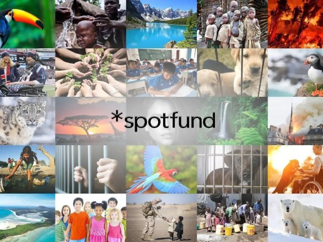 spotfund spotfund