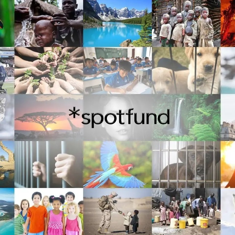 spotfund