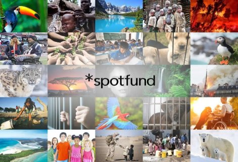 spotfund spotfund