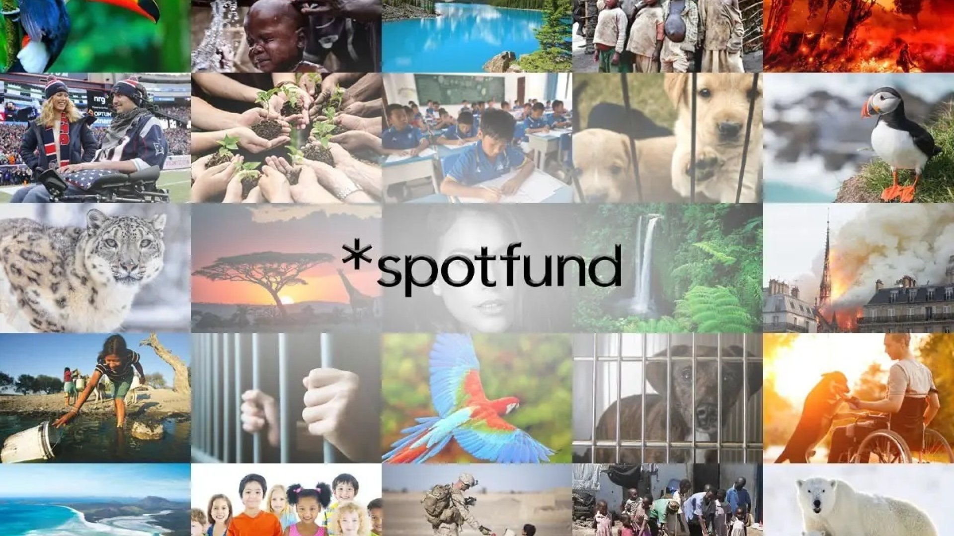 spotfund spotfund