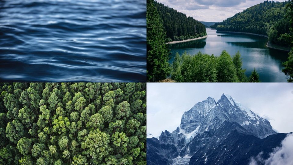 environment environment